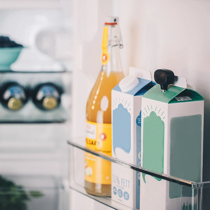 Milchlanze 4 Milchlanze – Bild 2